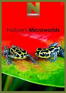 Нетронутые уголки дикой природы