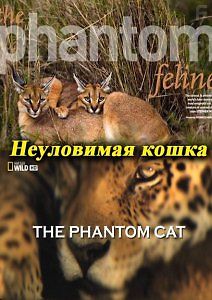 Неуловимая кошка