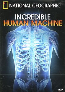 Невероятное тело человека