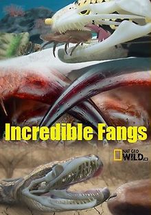 Невероятные клыки