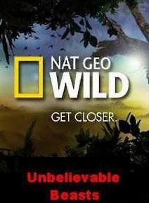 Невероятные животные