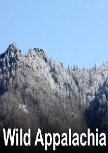 Невиданные Аппалачи