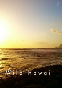 Невиданные Гавайи