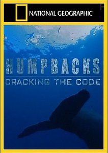 NG. Киты-горбачи: разгадка кода