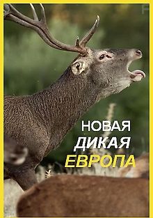 Новая дикая природа Европы