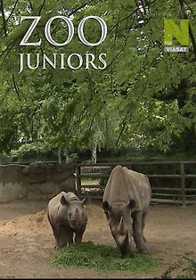 Новорожденные в зоопарке