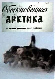 Обыкновенная Арктика