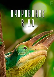 Очарование в HD