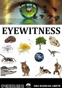 Очевидец