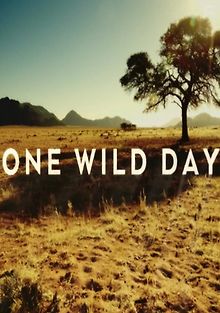 Один дикий день