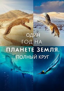 Один год на планете Земля. Полный круг