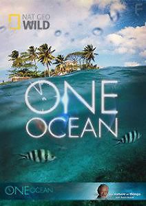 Один океан