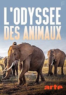 Одиссея животных
