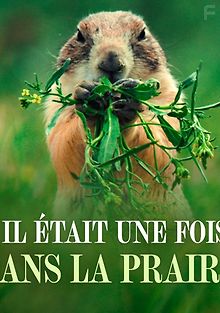 Однажды в прерии