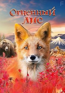 Огненный лис