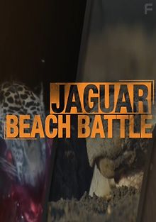 Охота ягуара на побережье