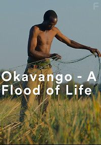 Окаванго. Поток жизни