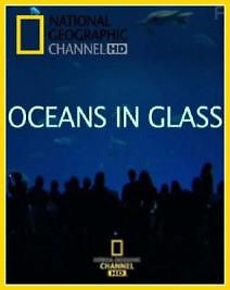 Океаны за стеклом