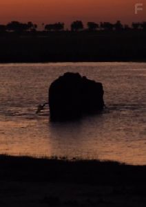 Опасные тропы. Слоны на минных полях