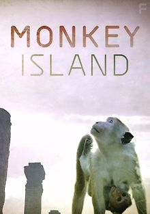 Остров обезьян