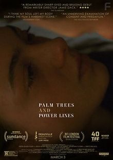 Пальмы и линии электропередач