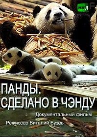 Панды. Сделано в Чэнду
