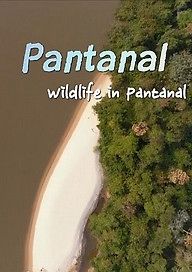 Пантанал. Дикая природа Пантанала