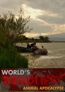 Апокалипсис животных