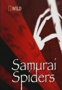 Пауки - Самураи