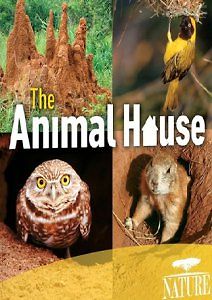 PBS: Природа - Дом животных