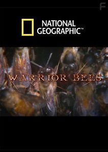 Пчёлы-воины