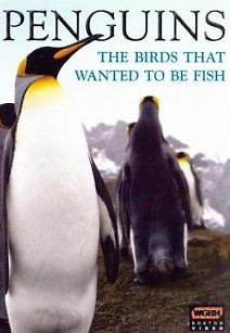 Пингвины. История птиц, мечтающих стать рыбами