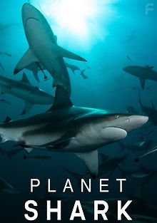Планета акул