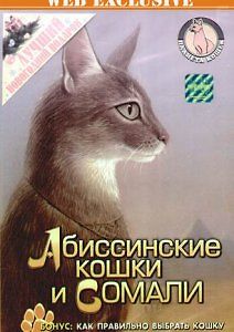 Планета кошек - Аббисинские кошки и Сомали