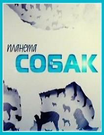 Планета собак