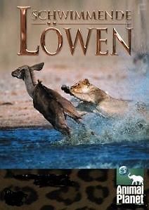 Плавающие львы