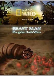 По следам мифических чудовищ. Монгольский червь смерти