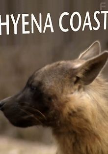 Побережье гиен