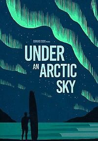 Под арктическим небом