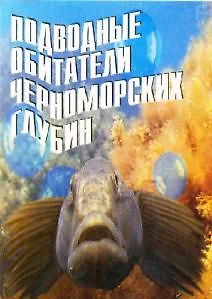 Подводные обитатели черноморских глубин