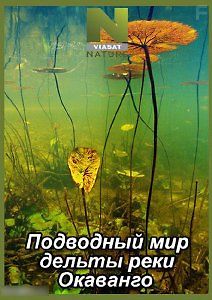 Подводный мир дельты реки Окаванго