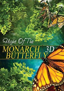 Полет бабочки