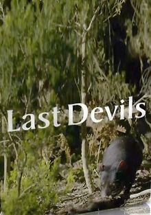 Последние дьяволы