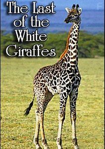 Последний из белых жирафов