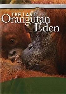 Последний рай орангутанов
