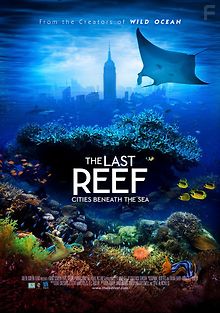 Последний риф