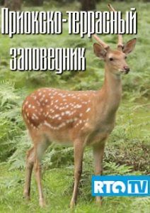 Приокско-террасный заповедник