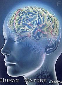 Природа человека