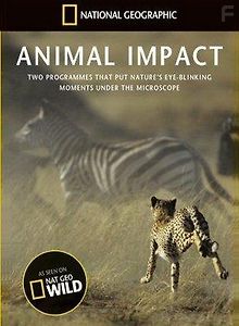 Природная инженерия. Выживание в саванне