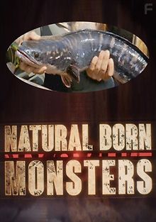 Прирождённые монстры. Змееголовая рыба